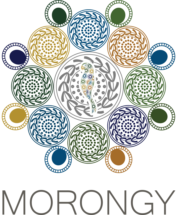 Morongy SA
